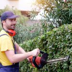 Gardener using an hedge clipper in the garden